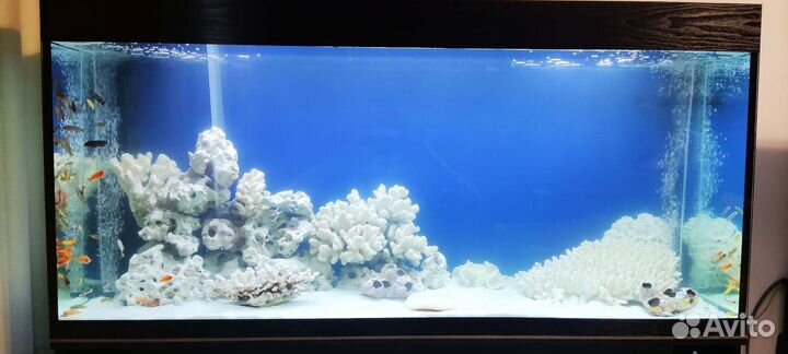 Аквариум на 500 литров