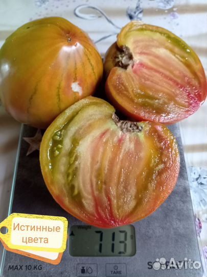 Семена коллекционных сортов томатов