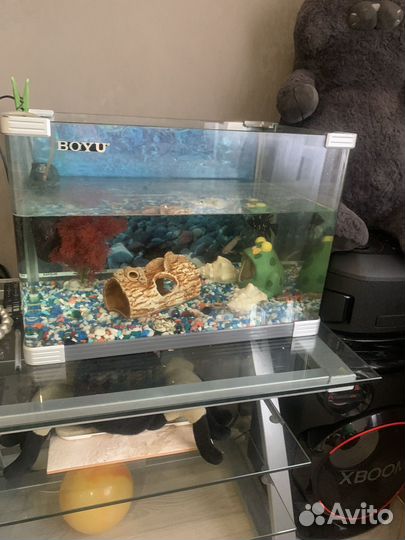 Аквариум