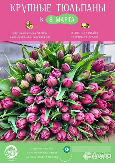 Букет крупных тюльпанов к 8 марта