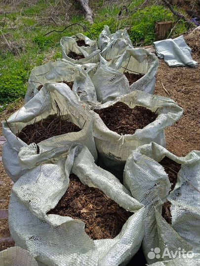 Конский навоз