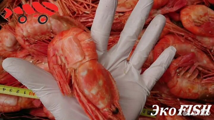 Морепродукты с Дальнего Востока