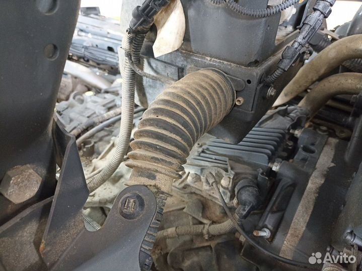 Трубки системы Adblue Iveco Stralis