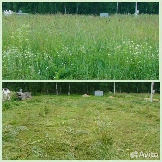 Покос травы