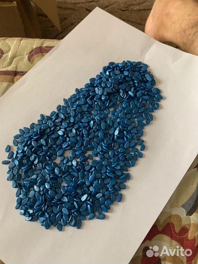 Семена арбуза