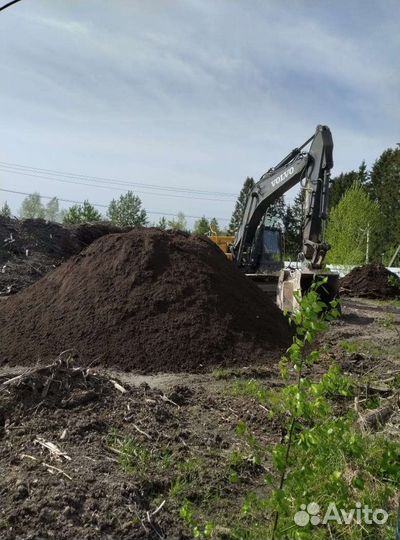 Растения