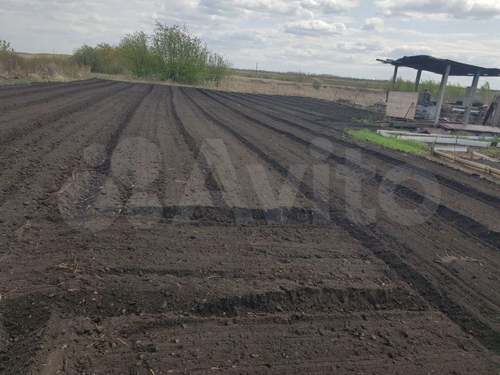 Участок 8 сот. (СНТ, ДНП)