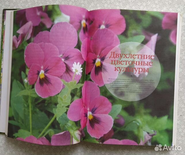 О Ганичкина Цветы на вашем участке