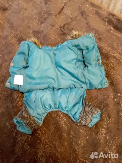 Одежда для маленьких собак