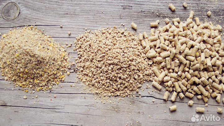 Комбикорм опт от Производителя, ищем дилера