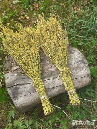 Веник из донника