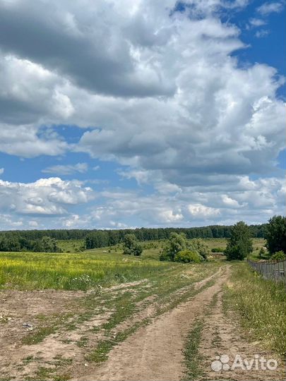 Конная прогулка Лаишево 26 августа