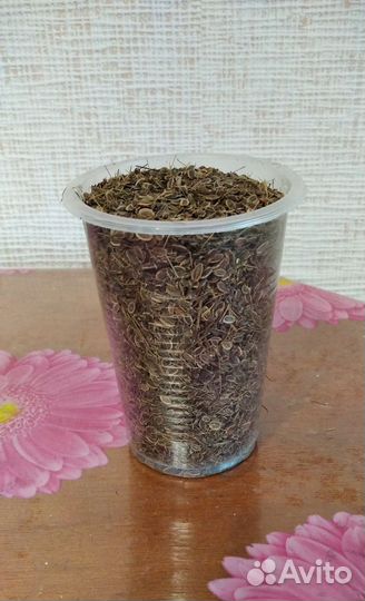 Чеснок, семена укропа