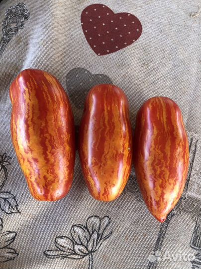 Семена коллекционных томатов