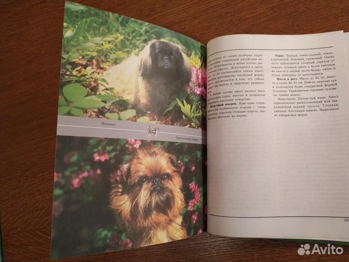 Книга - 