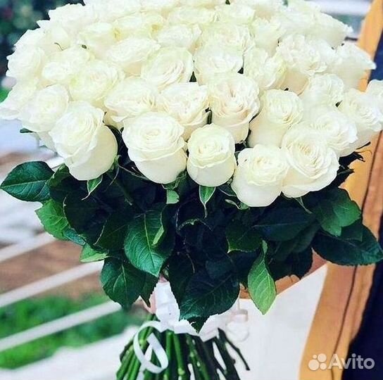 Высокие розы 150 160 170 180 190см доставка Москва