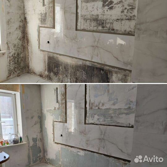 Удаление уничтожение плесени грибка