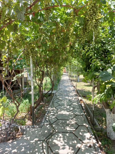 Дом 100 м² на участке 1100 м² (Армения)