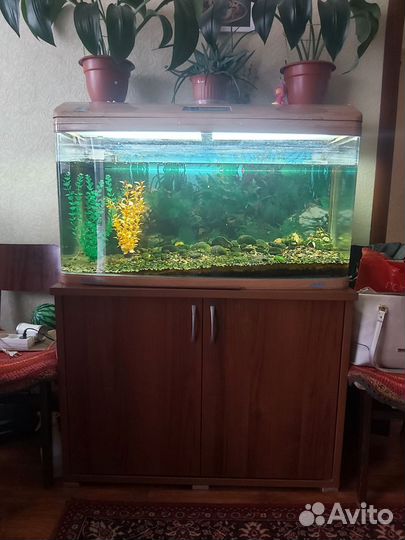 Аквариум