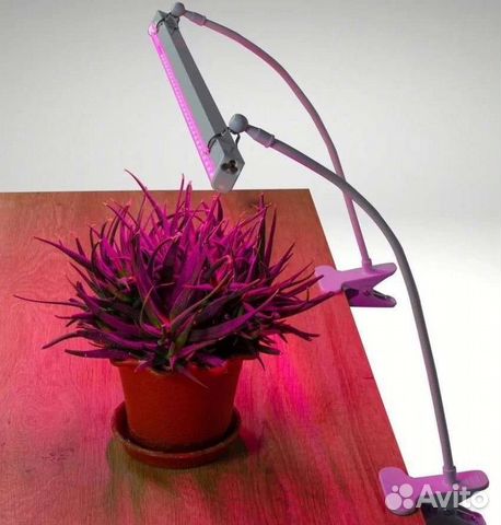 Подставка на прищепке под фито светильник