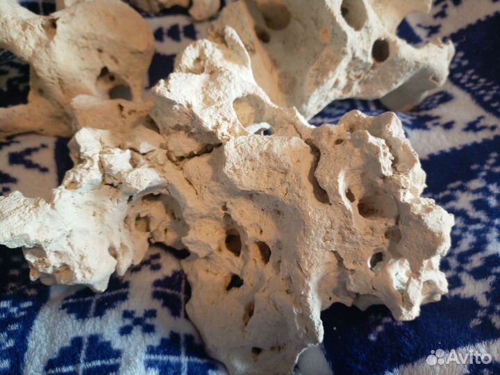 Растения в аквариум, камни для декора