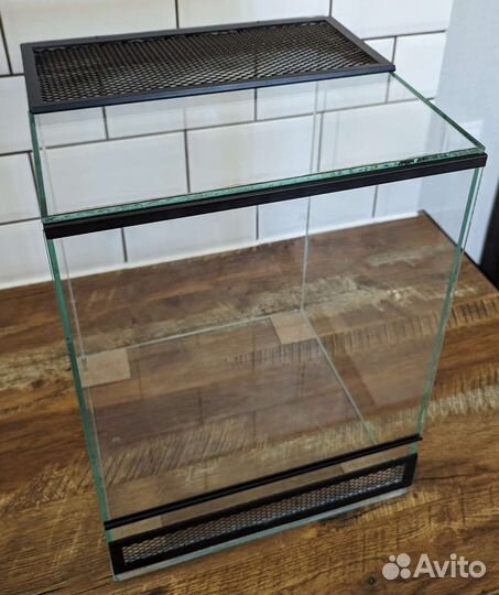 Террариум, паучатники и оформление