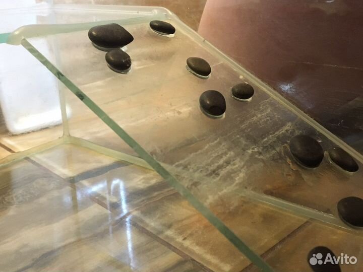 Аквариум для морской красноухой черепахи