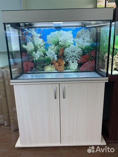 Аквариум