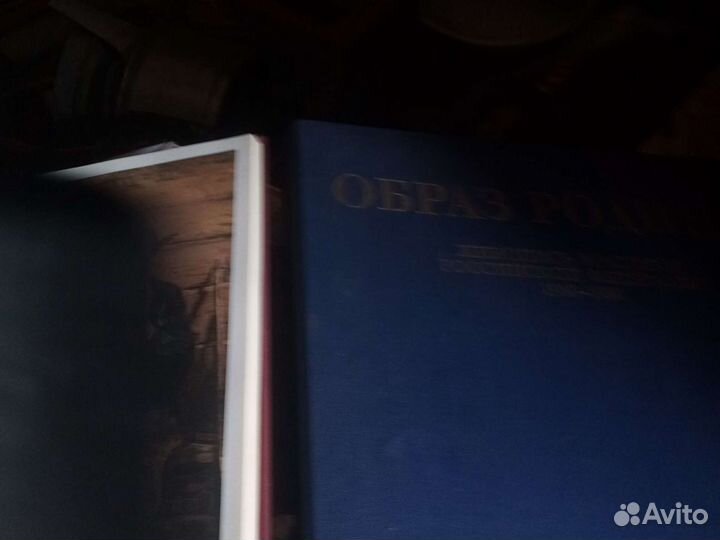 2 книги образ родины 1960 1980гг