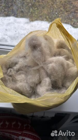 Собачья шерсть хаски