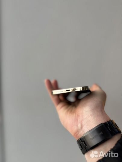 iPhone 12 Pro Max, 256 ГБ