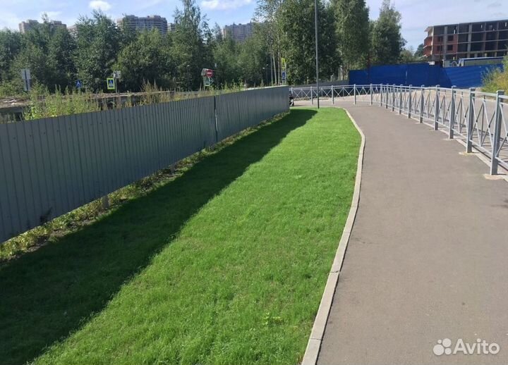 Газонная травосмесь «Универсальная»