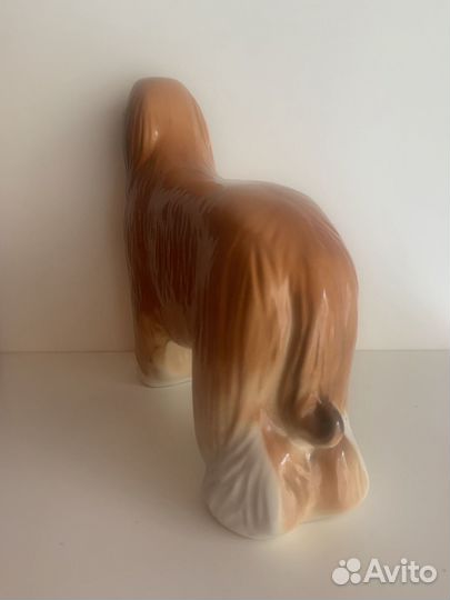 Собака Колли Лфз СССР