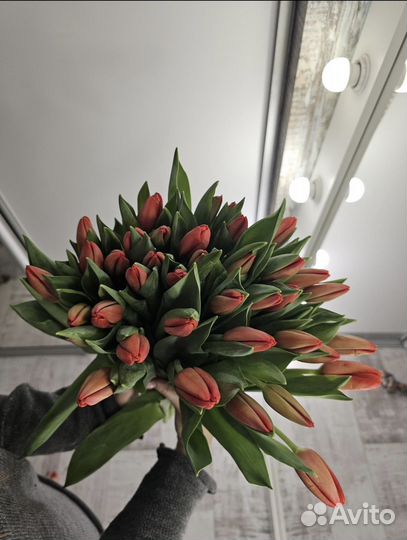 Тюльпаны корпоративные к 8 марта