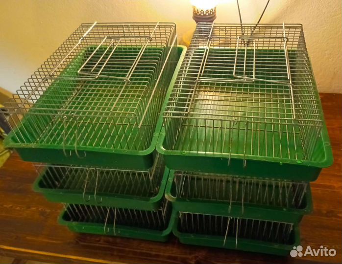 Переноска для птиц