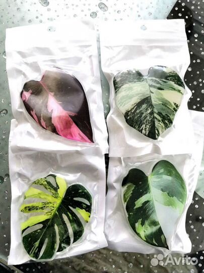 Брелки, держатели для телефона. Растения