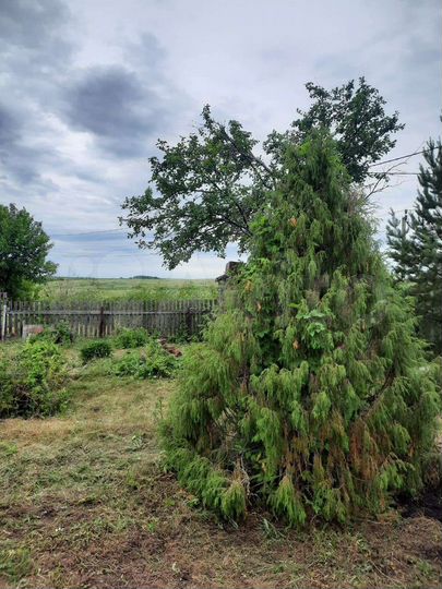 Дача 25 м² на участке 6 сот.