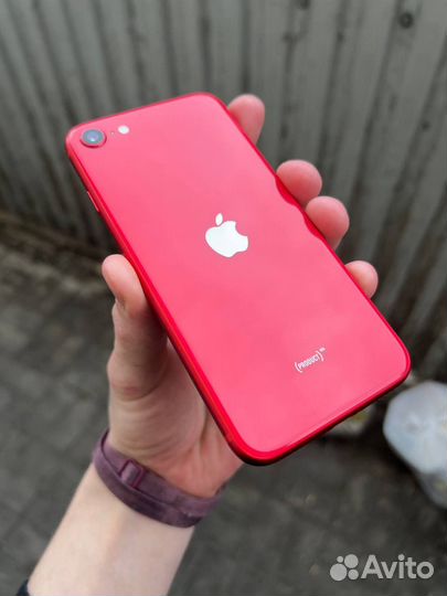 iPhone SE (2020), 256 ГБ