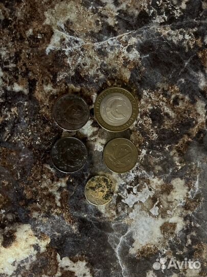 Монеты и купюры