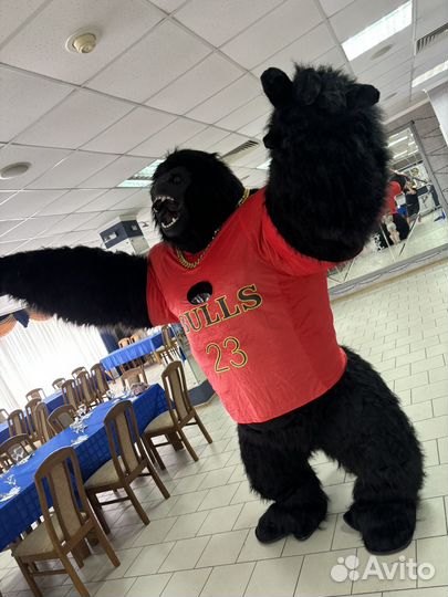 Поздравления Кинг-Конга