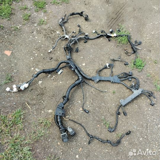 Проводка двигателя Toyota Camry XV70