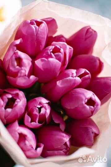Тюльпаны по 15 шт