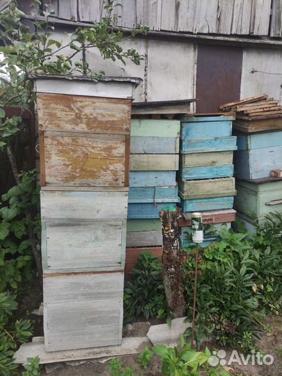 Ульи для пчёл