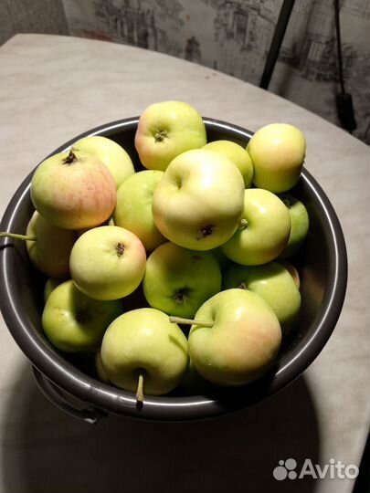 Яблоки домашние