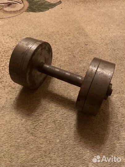 Гантели разборные