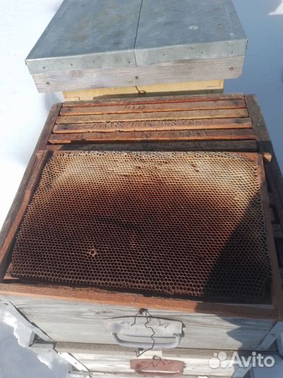 Рамки с сушью