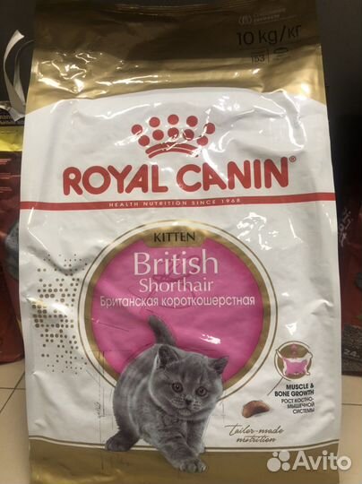 Корм для котят royal canin British kitten 10кг
