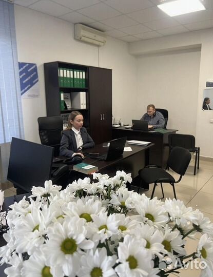 Всё хорошо прибыль в 1 месяц