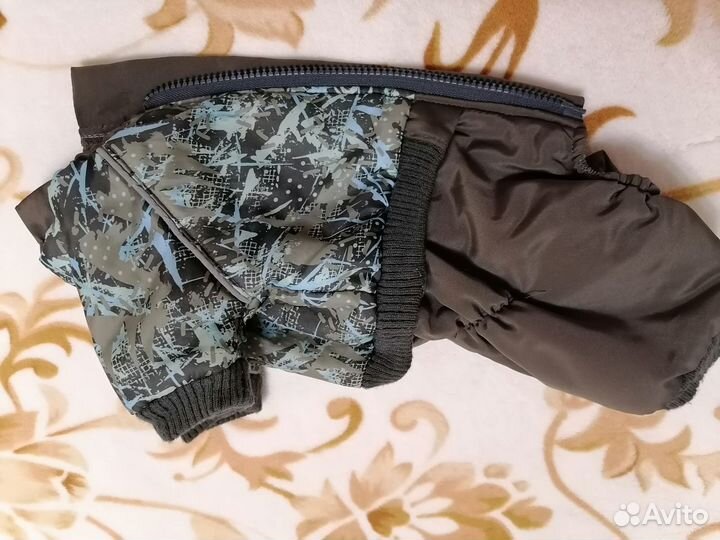 Костюм для собаки (мальчика) мелкой породы