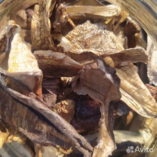 Сушенные грибы